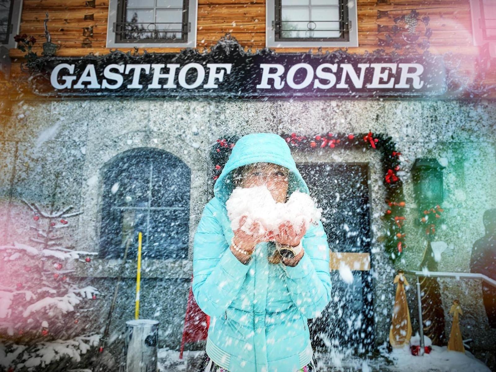 Hotel Rosner アルテンマルクト・イム・ポンガウ エクステリア 写真